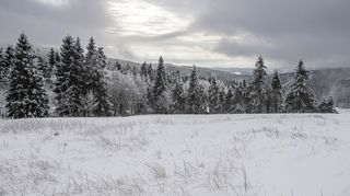 Chladno a čerstvý vítr. Na horách napadne až 20 centimetrů sněhu